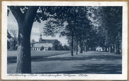 SCHROTTERSBURG  Collegien Platz
Dawna pocztówka 
Słowa kluczowe: Collegien Platz