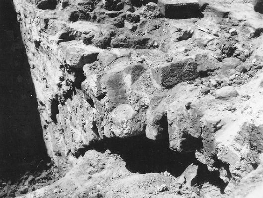 Wykopaliska
Zbiory Wojewódzkiego Konserwatora Zabytków w Warszawie o. Płock

'Płock w starej fotografii (po roku 1945)' - [url=http://historia.e-plock.pl/po1945/galeria.html]http://historia.e-plock.pl/po1945/galeria.html[/url]
Słowa kluczowe: Wykopaliska