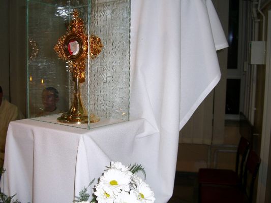 Relikwiarz z relikwiami Ojca Pio
23 września 2007r - wprowadzenie relikwii świętego ojca Pio

W Płocku będzie przechowywany fragment bandaża, na którym jest krew o. Pio

