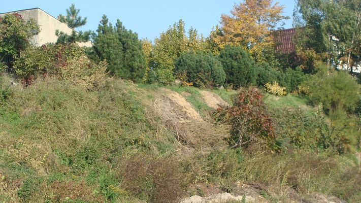 Czerwińsk nad Wisłą
Słowa kluczowe: Czerwińsk nad Wisłą