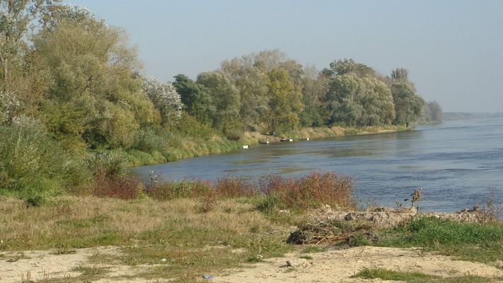 Czerwińsk nad Wisłą
Słowa kluczowe: Czerwińsk nad Wisłą