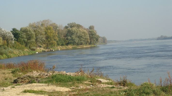 Czerwińsk nad Wisłą
Słowa kluczowe: Czerwińsk nad Wisłą