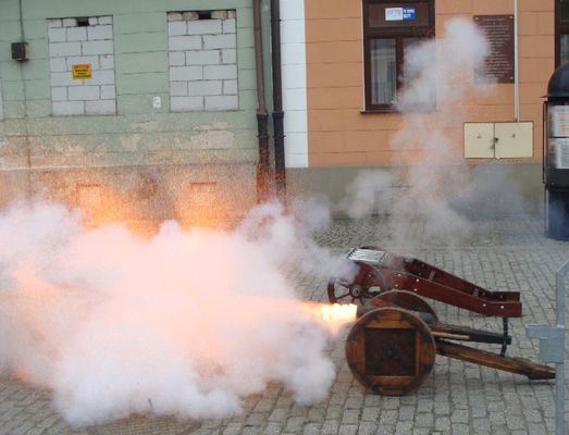 Uroczystości 3 maja 2010 
Wystrzał
Słowa kluczowe: 3 maja 