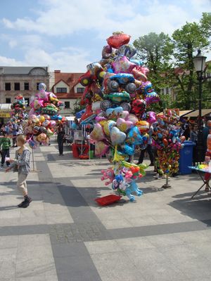 Piknik europejski w Płocku
9 maja 2010

