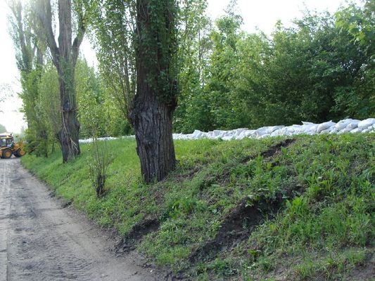 Wał przeciwpowodziowy na Słupiance
Borowiczki

22 maja 2010

Słowa kluczowe: Borowiczki