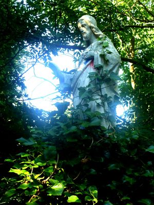 znaleźliśmy Jezusa
przy ulicy Gościniec - kto dba o to miejsce ?
Słowa kluczowe: Gosciniec