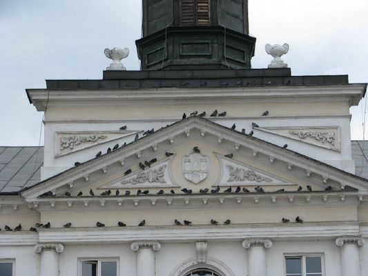 Ratusz
Odpoczywające ptaki
Słowa kluczowe: ratusz