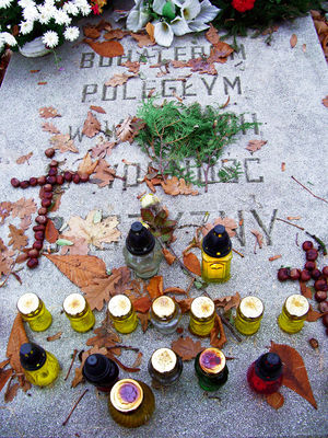 Poległym bohaterom Ojczyzny
Słowa kluczowe: tablica, pamiątkowa