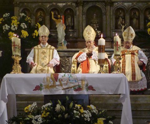 300 lat Wyższego Seminarium Duchownego
Uroczysta Msza Święta pod przewodnictwem J,E, Józefa kard. Glempa

22 maja 2010

Słowa kluczowe: katedra