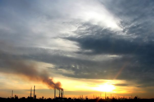 Orlen o zachodzie słońca
