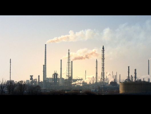 Orlen o wschodzie słońca
