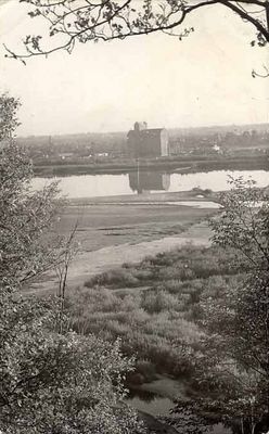 Elewator zbożowy w Radziwiu
