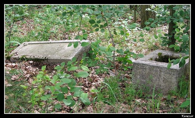 Szczątki poniemieckiego cmentarza w Borkach koło Troszyna.
Zniszczony nagrobek "Anna Zweigert"
