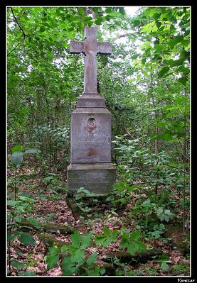 Szczątki poniemieckiego cmentarza w Borkach koło Troszyna.
Olga Ermma Ratz
