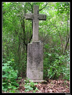 Szczątki poniemieckiego cmentarza w Borkach koło Troszyna.
Martin Preclaw
