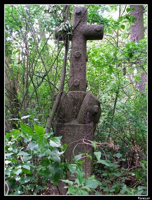 Szczątki poniemieckiego cmentarza w Borkach koło Troszyna.
