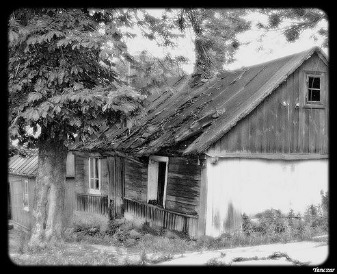 Stara chałupa w Bodzanowie
