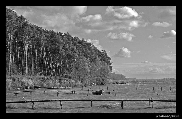 Przystań w Brwilnie
B&W
