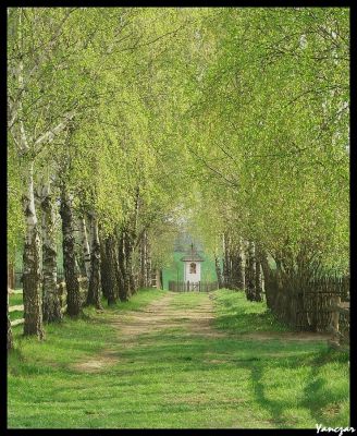 Droga do Boga
Wiejska droga z kapliczką w tle. Skansen w Sierpcu
