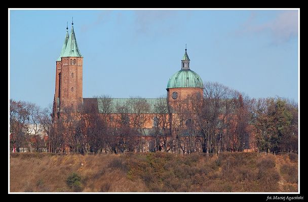 Płocka Katedra
