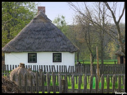 Wiejska chata
Skansen w Sierpcu
