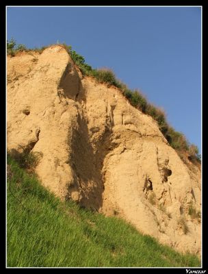 Skarpa
Skarpa wiślana w okolicach Cholerki.
