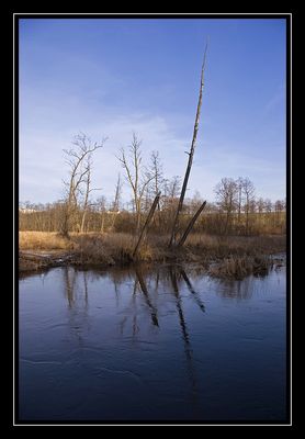 Rzeka Skrwa w Kobiernikach
