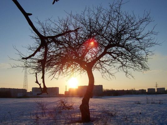 zachód słońca...
fotka robiona 12 marca br... 
Słowa kluczowe: Zima Słońce zachód