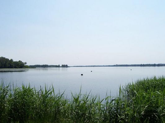 Murzynowo
widok na wisłe...
