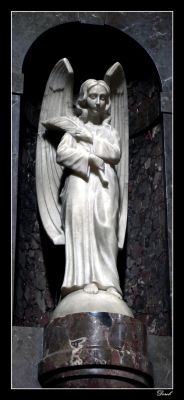 Anioł
Rzeźba z wnętrza Katedry
