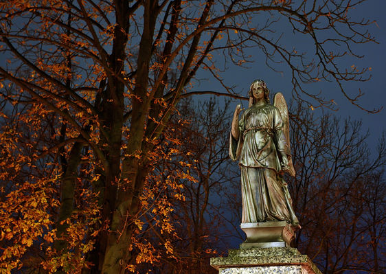 Anioł
Cmentarz przy ul. Kobylińskiego
