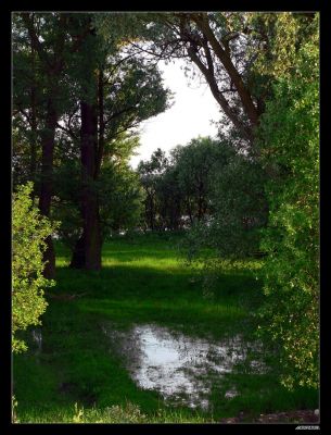 Blask
Zdjęcie wykonano pomiędzy Borowiczkami a Rydzynem
