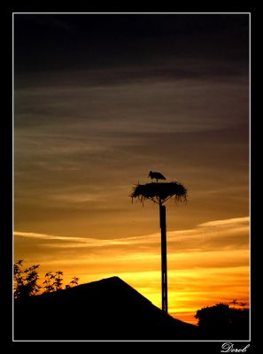Zachód
Na trasie w stronę Wykowa
