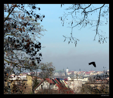 Kościół farny
Widok z Radziwia
