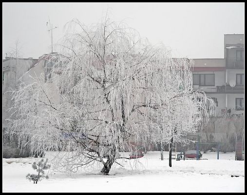 Zimowe klimaty
Podolszyce - Jana Pawła II
2006 rok

