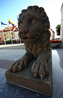 Lew
Historia lwów sięga drugiej połowy XIX w. Stały przed zniszczonym dworem w Bronowie-Zalesiu. Najprawdopodobniej w 1966 r. trafiły na płockie Tumy. Stanęły między pałacem biskupim a Muzeum Mazowieckim. Siedem lat temu trafiły do konserwatora w Warszawie. Władze Płocka długo nie mogły zdecydować, gdzie lwy powinny stanąć po renowacji. Koncepcji było kilka: pl. Narutowicza, przy Bibliotece im. Zielińskich, przy ratuszu lub przy grobie nieznanego żołnierza. Inaczej chciały władze miasta, inaczej konserwator zabytków. W 2001 r. wróciły do Płocka po kosztującej 20 tys. zł renowacji. Po długich sporach w 2002 r. znalazły swoje miejsce przed ratuszem.
