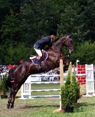  Mistrzostwa Polski Młodych Koni w Skokach przez Przeszkody w Łącku
24 sierpnia 2008
