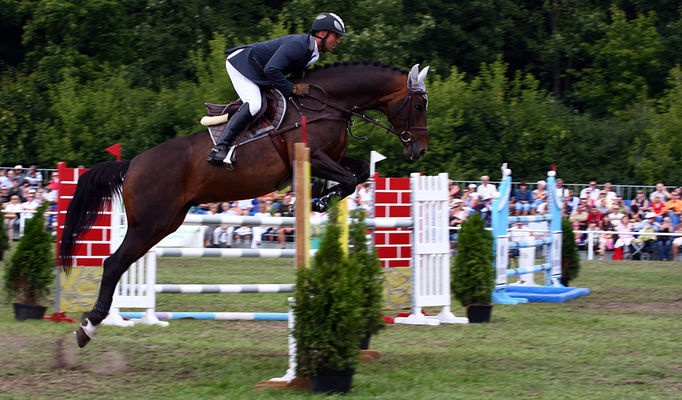  Mistrzostwa Polski Młodych Koni w Skokach przez Przeszkody w Łącku
24 sierpnia 2008
