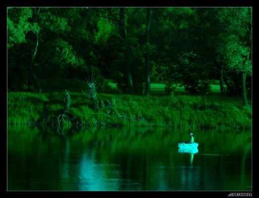 Na rybkach
Zdjęcie wykonano w okolicy Rydzyna z wału przeciwpowodziowego.
