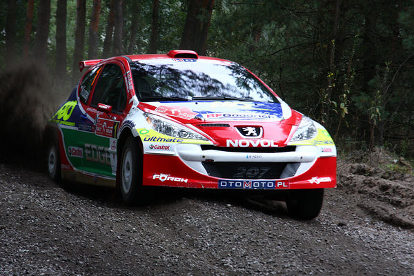 Rajd Orlen 2008
Odcinek Testowy
