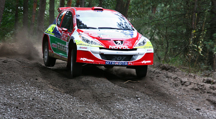 Rajd Orlen 2008
Odcinek Testowy 
