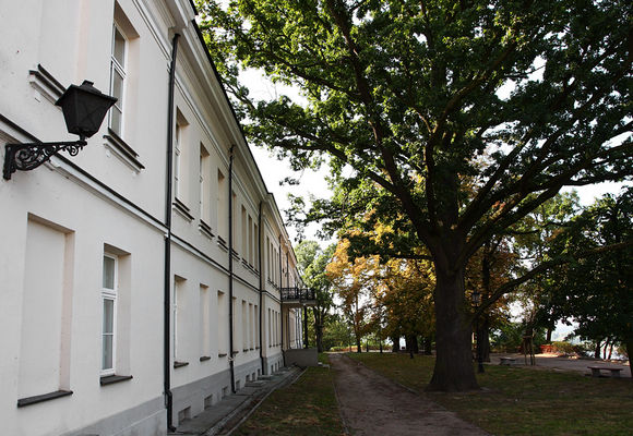 W parku
Park za sądami
