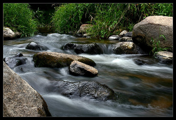 Skrwa  ____ okolice Sikorza
Rezerwat przyrody " Sikórz"
