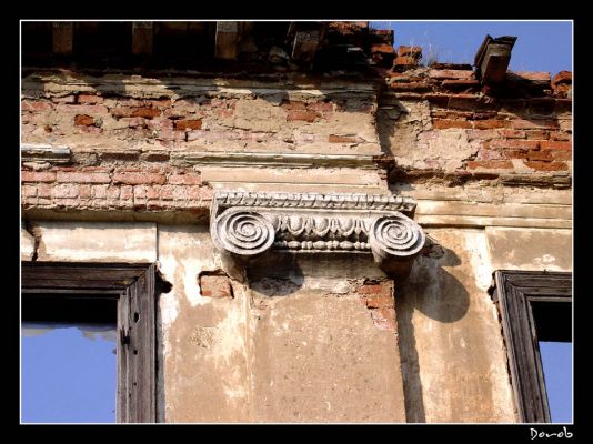 Ruiny
Detal znajdujący się na ruinach pałacu w Studzieńcu
