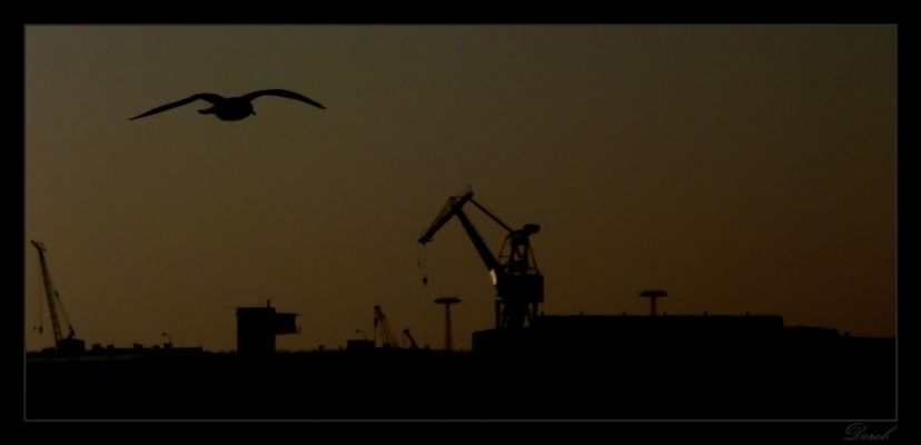 W stronę "Żurawia"
