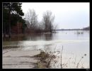 Wysoka woda - trzy dni pozniej.jpg