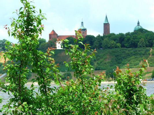 Katedra z wału przeciwpowodziowego
