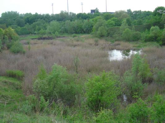 Wyrobisko po dawnej cegielni
