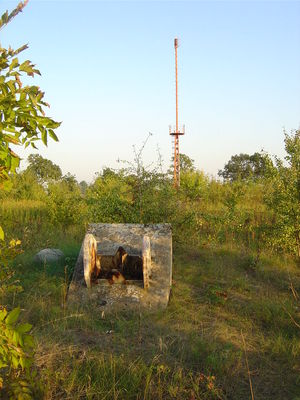 Radiofoniczne Centrum Nadawcze k. Gąbina
Jeden z 20 bloków kotwiących liny odciągowe konstrukcji masztu. Katastrofa konstrukcji nastąpiła podczas wymiany jednej z lin /ostatni poziom/. 

