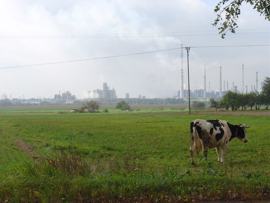 Kombinat
Widok od strony Trzepowa
